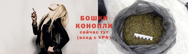 стаф Володарск