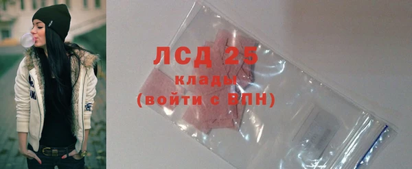 стаф Володарск